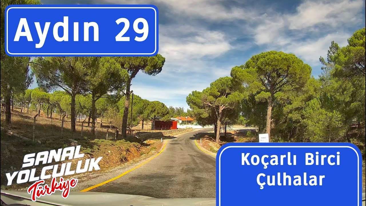 Aydın 29: Koçarlı, Çallı, Birci, Çulhalar (Fıstık Çamı Ormanı)