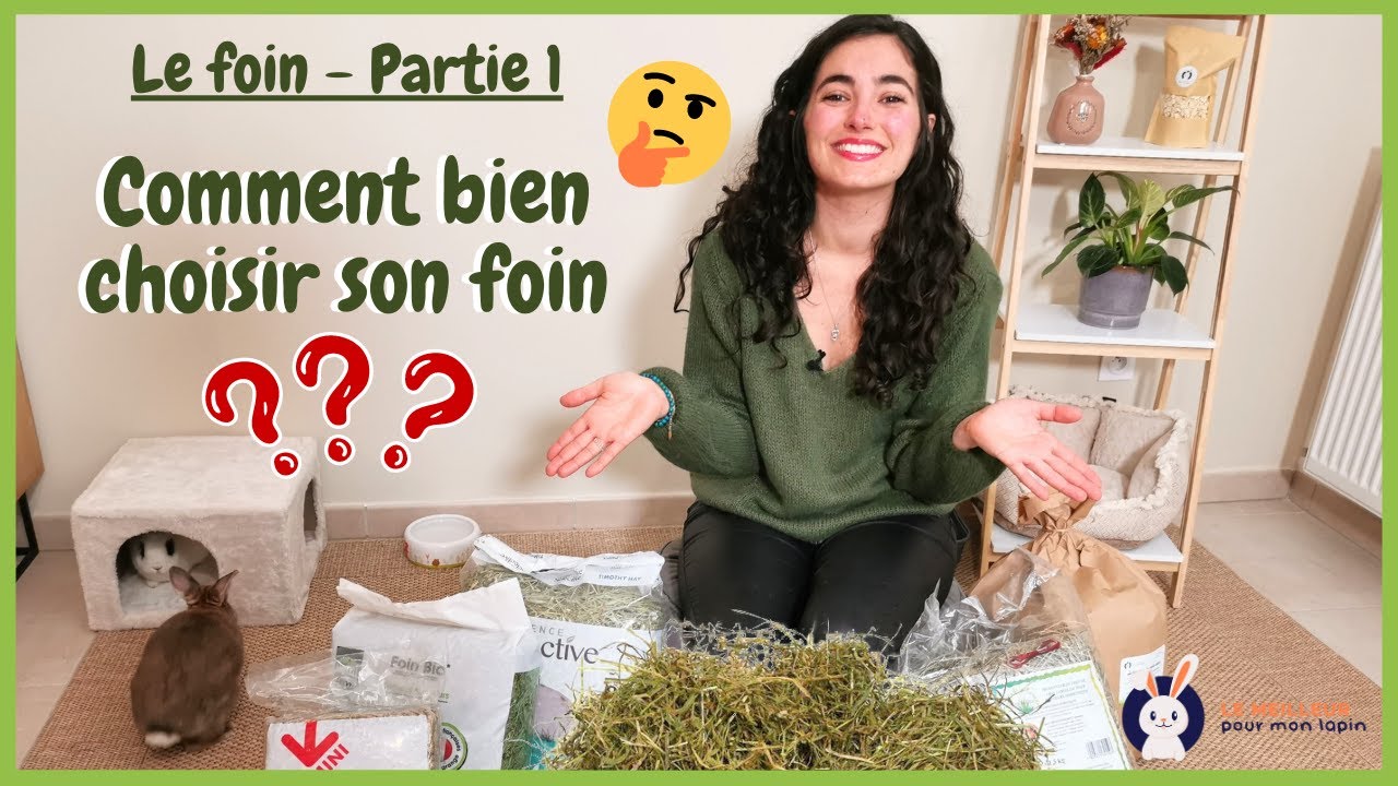 NE FAIS PLUS D'ERREUR 🤓Comment choisir son foin pour lapin ?