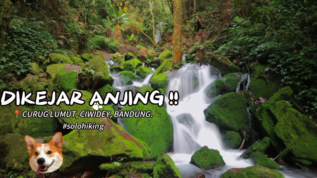 DEMI HIDDEN GEM SAMPAI RELA DIKEJAR ANJING,    CURUG LUMUT, CIWIDEY, BANDUNG. #solohiking