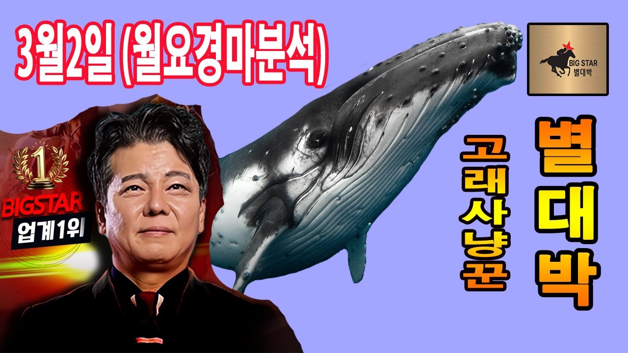 3월 2일 월요경마 별대박 분석방송