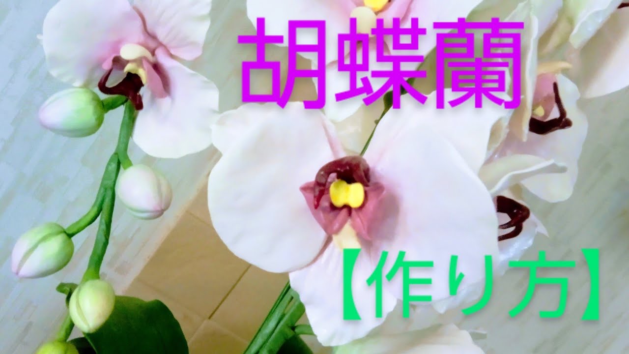 Clay Flower DIY   クレイフラワー粘土で創作する【胡蝶蘭】