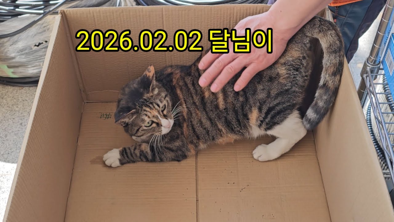 2026.02.02  달님이 