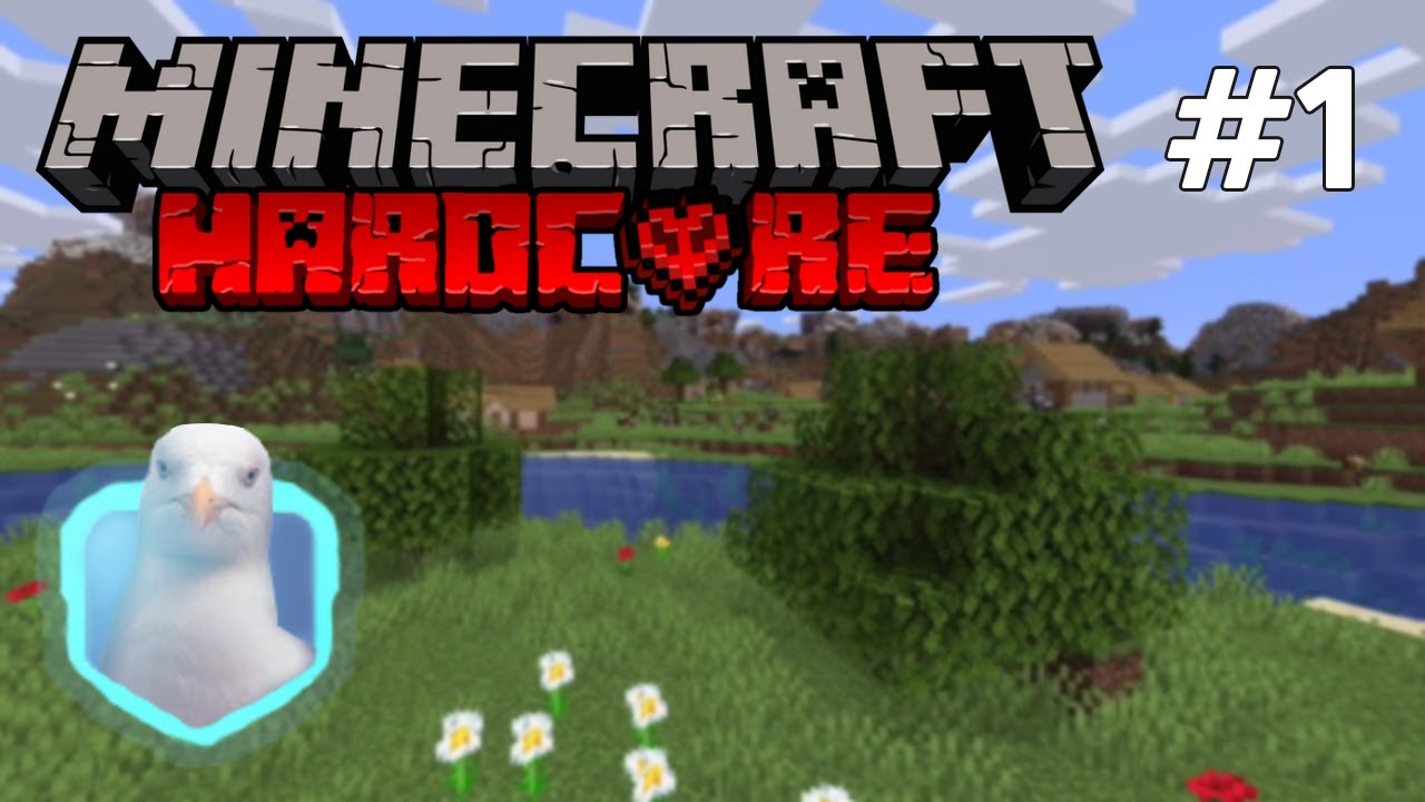 Seagull Plays 