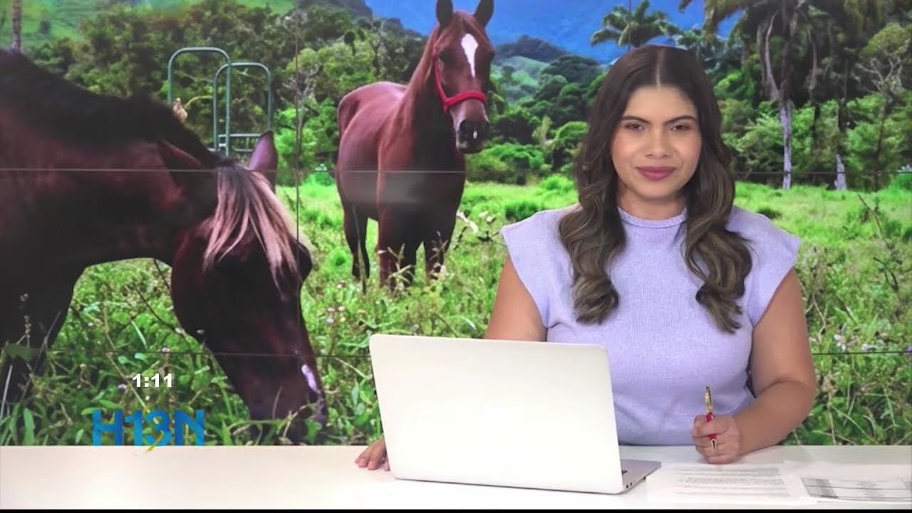 🔴 Hora 13 Noticias - Martes, 10 de marzo de 2026, emisión 1:00 p. m.