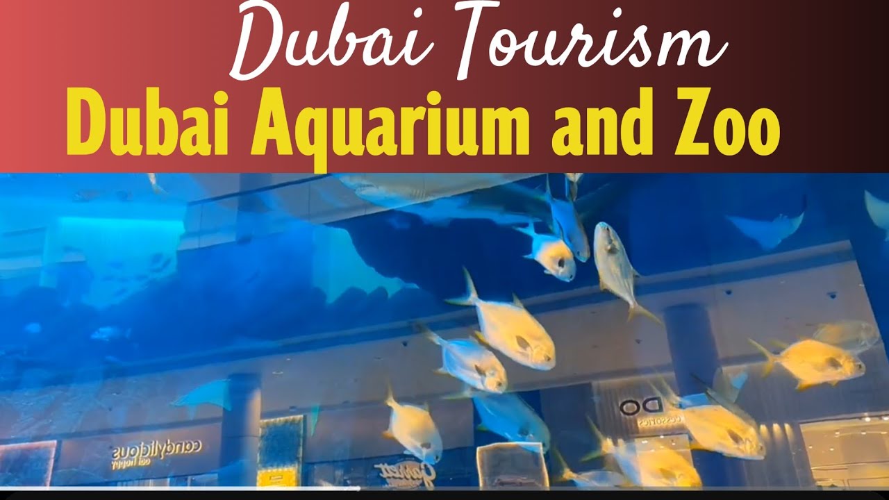 Dubai Aquarium and Zoo | Dubai Tourism|Dubai mall| pazhanchans 