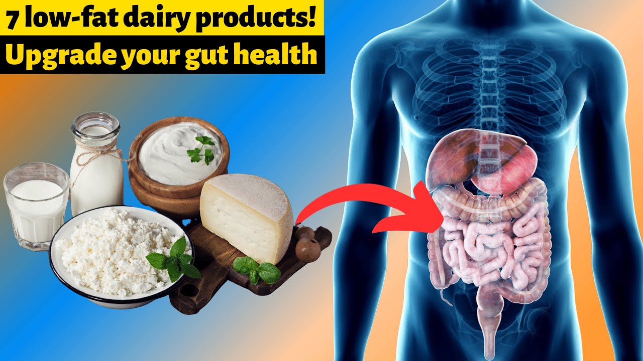 7 low-fat dairy products for optimal digestive health!