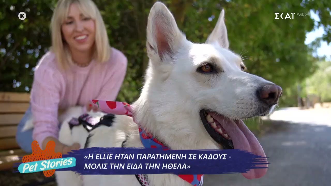 Ellie: Η μηχανόβια σκυλίτσα - Πως ξεκίνησαν τα road trips | Pet Stories | 31/01/2026