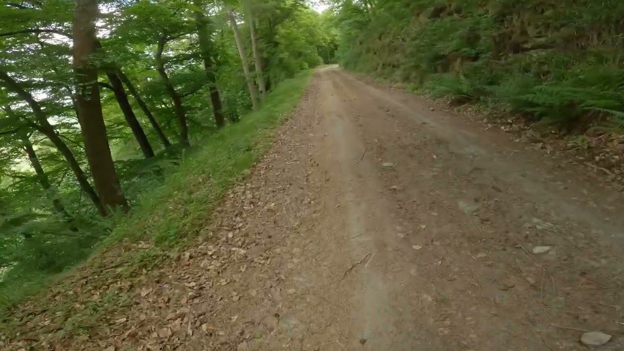 Pt7: 4K Hiking Germany | K&uuml;rrenberg Eifel Traumpfad Trail | Scenic Landscape Walk & Nature Adventure