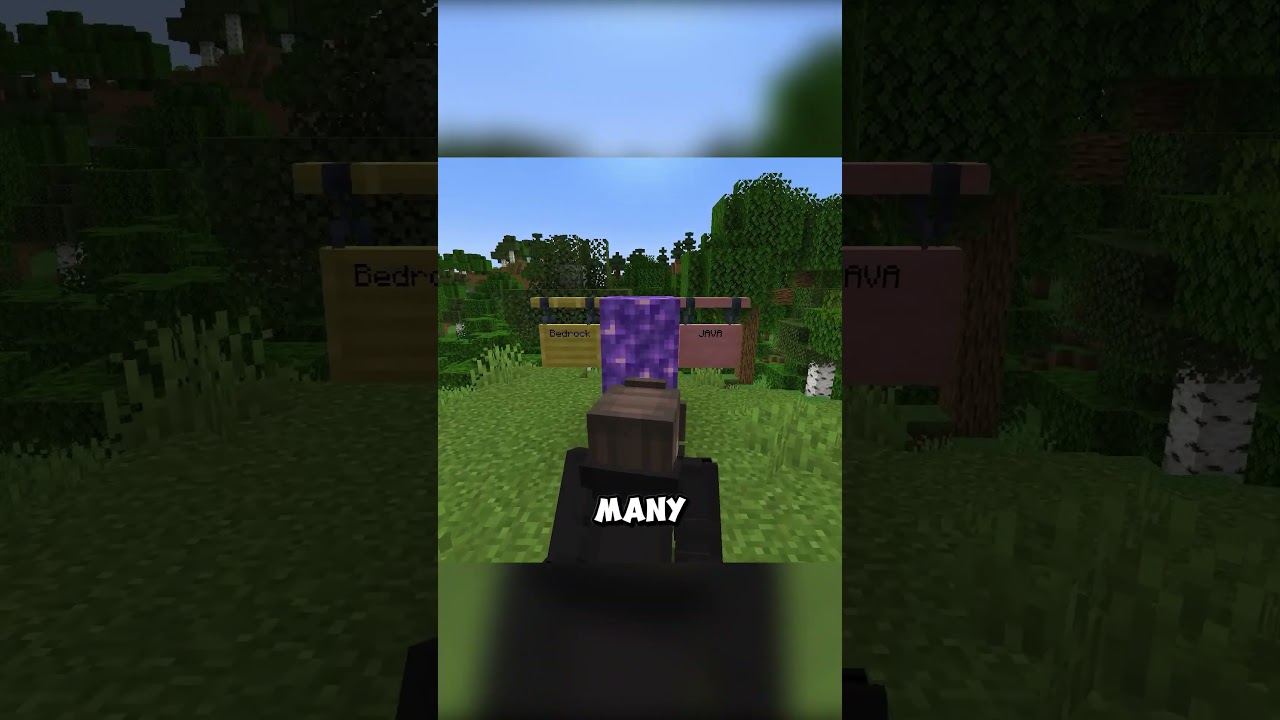 Bobbing In Java and Bedrock