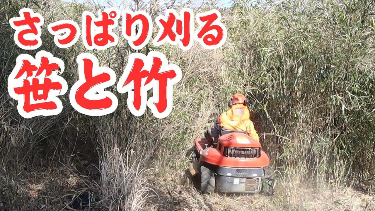 大ギシ横の笹と竹の耕作放棄地を乗用草刈りHeyMasaoで刈る