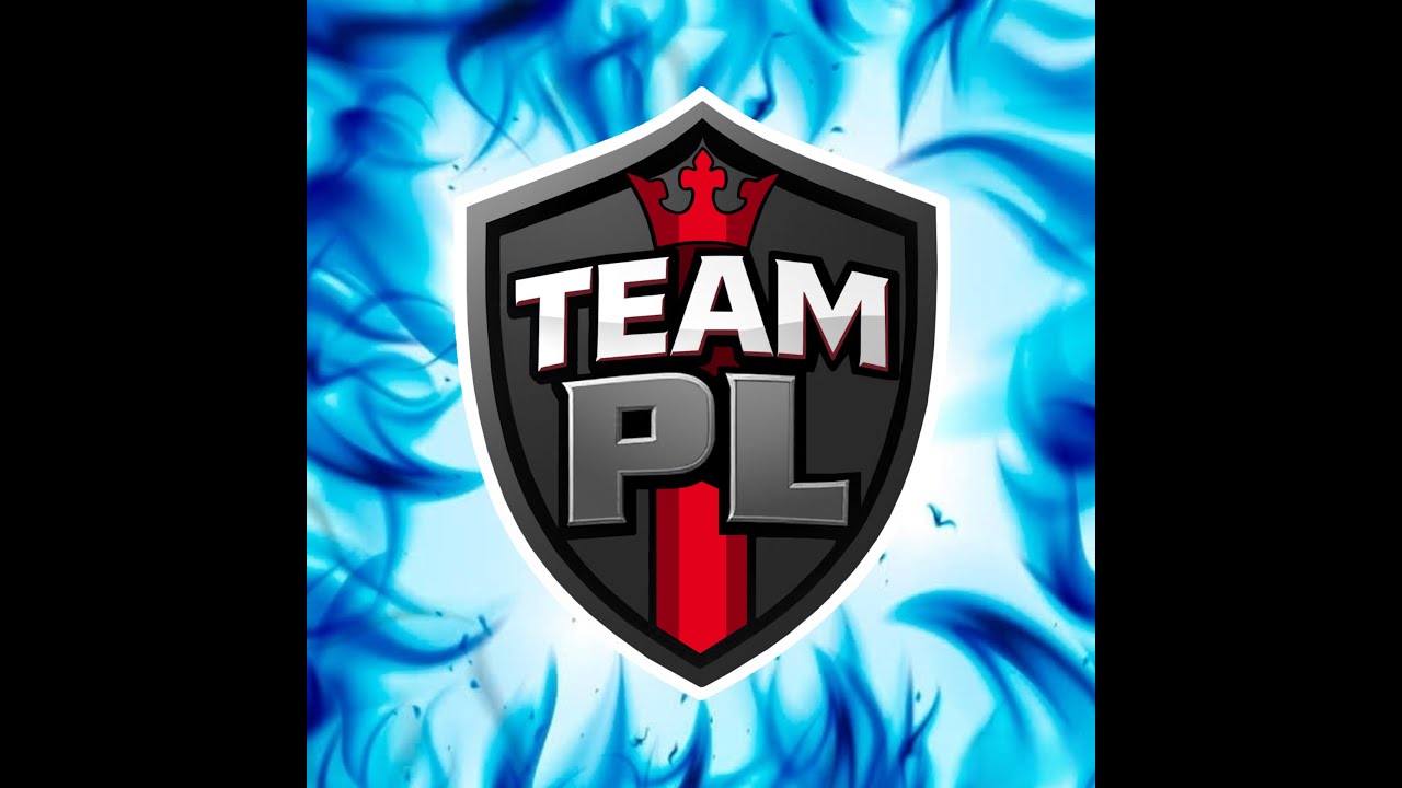 The TEAM PL project