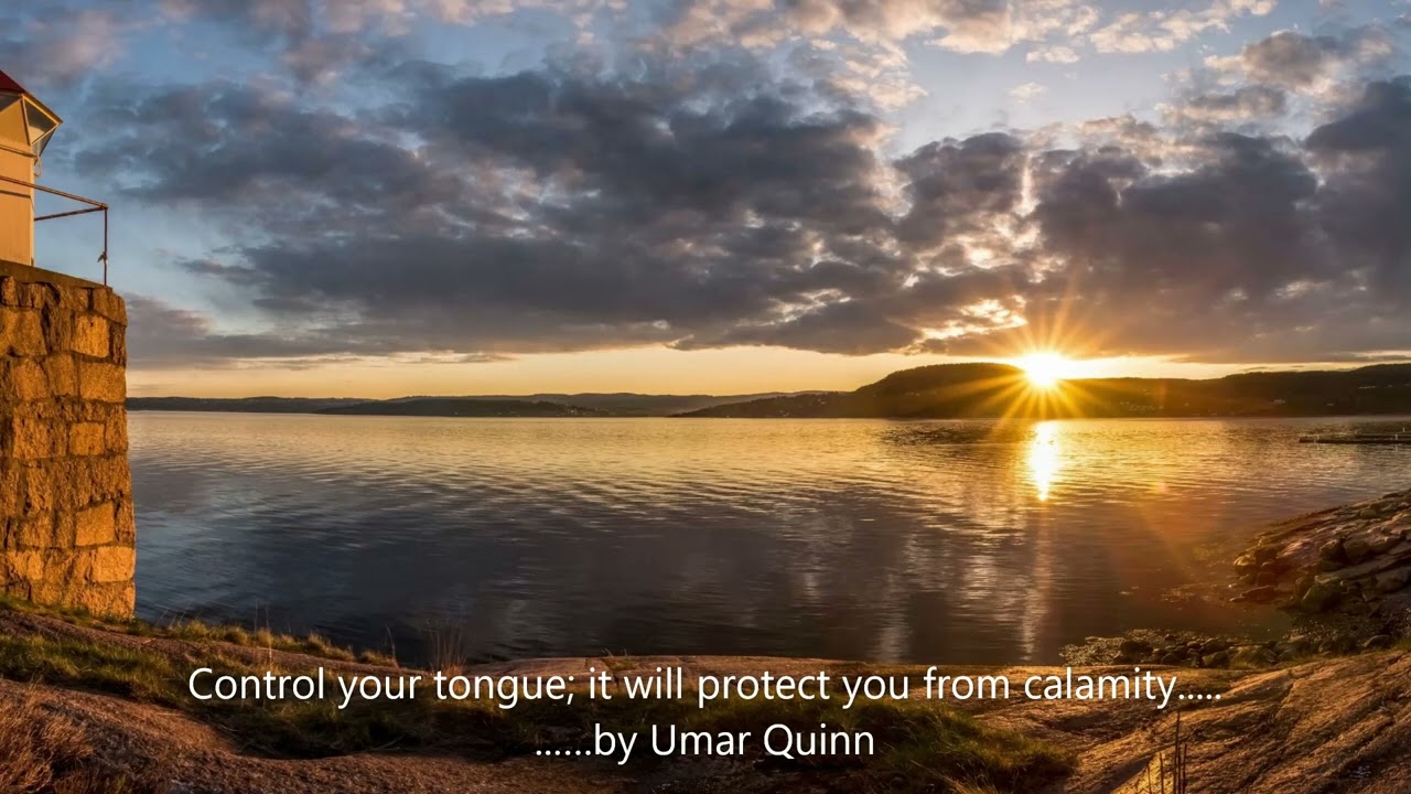 Control your tongue it will protect you from calamity...... by Umar Quinn