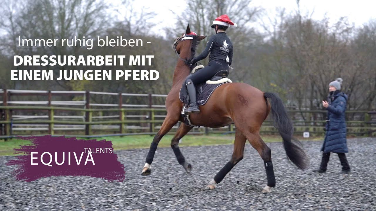 Dressurarbeit mit einem jungen Pferd - Talents lernen bei Nicole Uphoff-Selke