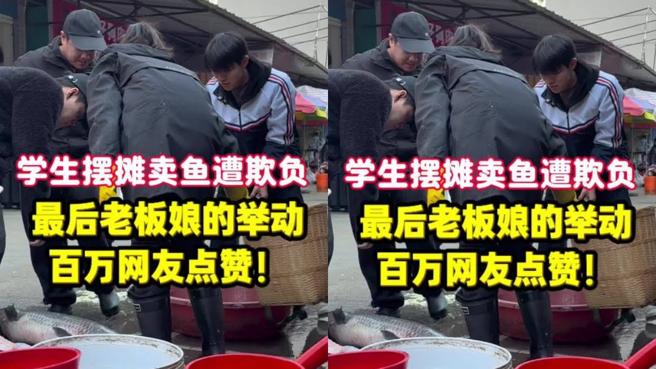 学生摆摊卖鱼遭欺负，最后老板娘的举动，百万网友点赞！