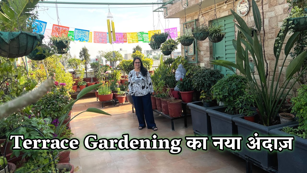 Urban Rooftop Gardening | Best Plants for Rooftop Gardens & How to Care for Them