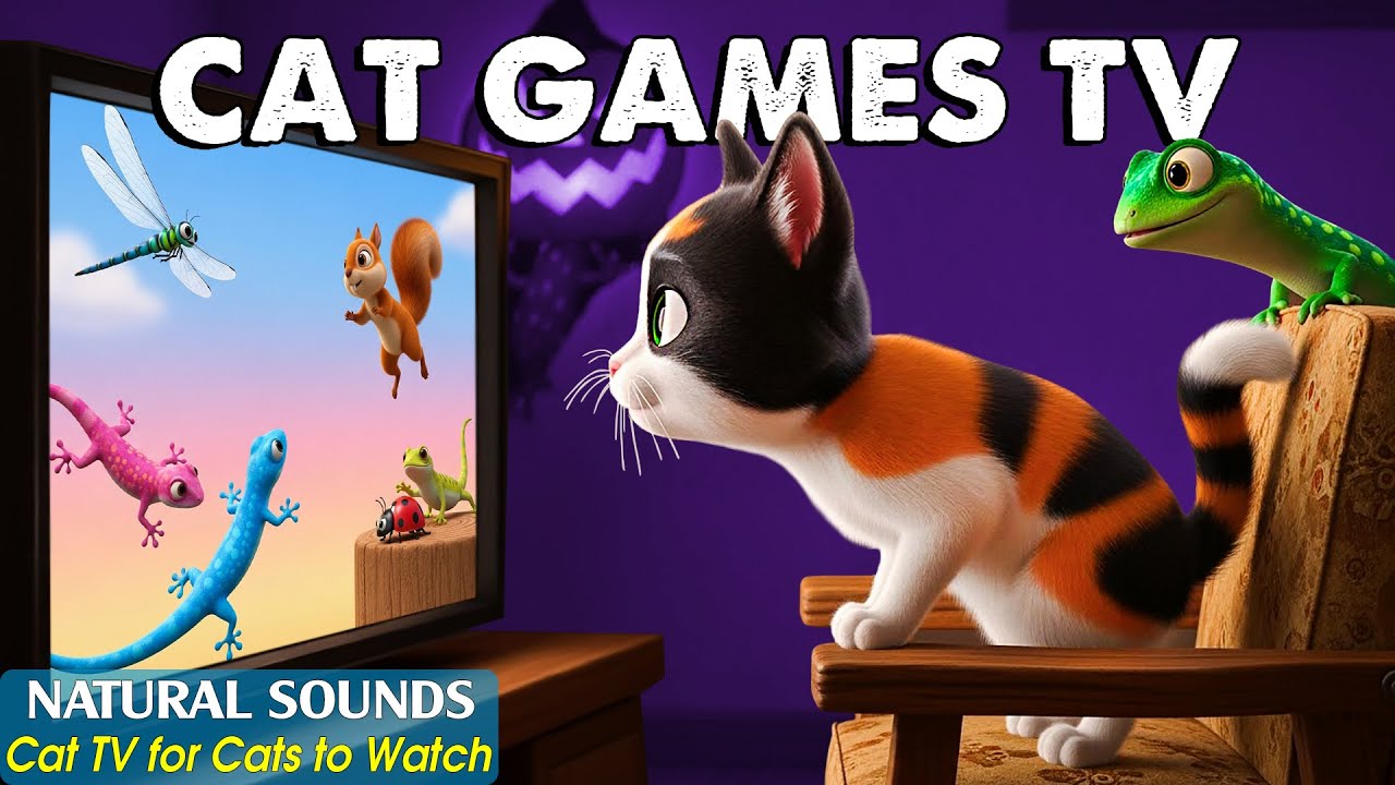 Interactive CAT TV &ndash; Relaxing Cat Games That Turns Bored Cats Into Happy Hunters 😺 Video for Cats