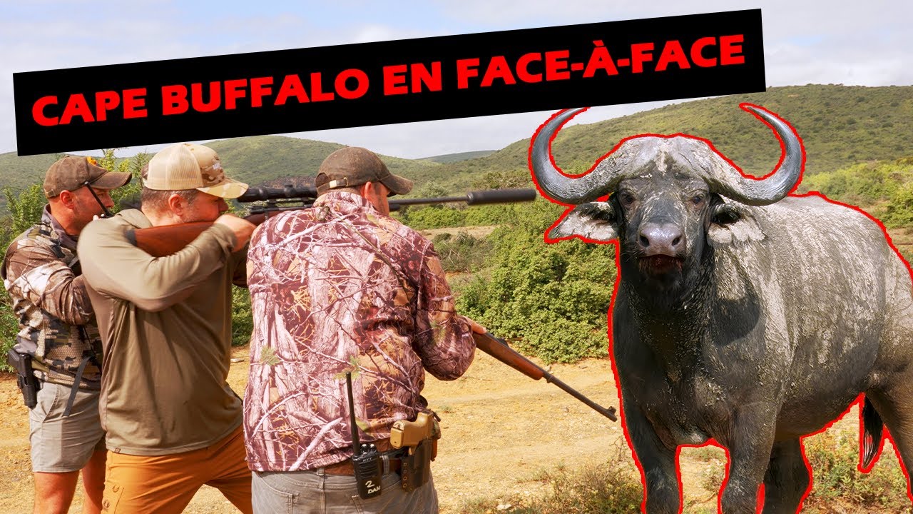 Le gibier le plus dangereux d'Afrique du Sud : Le buffle | Roadhunt - Saison 6 Épisode 2