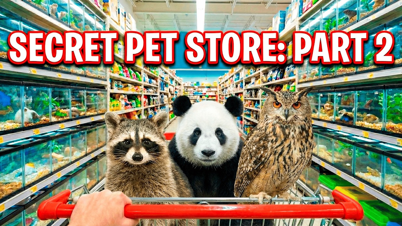 The VIRAL Secret Pet Store: PART 2 🛒😱 (Panda, Racoon & Owl) Compilation