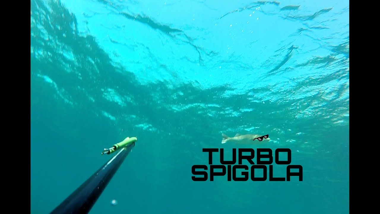 Pescasub: Il fidatissimo Cressi Comanche 90 non sbaglia quasi mai!