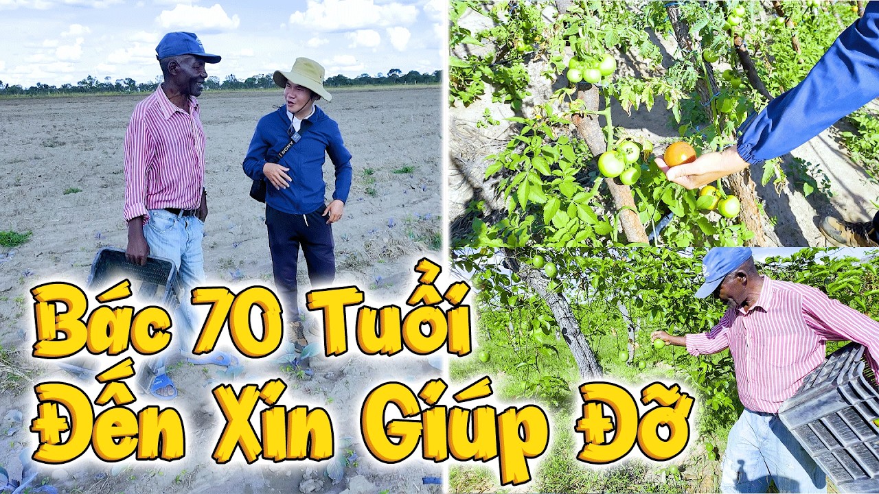 Bác 70 Tuổi Một Mình Đến Xin Giúp Đỡ Và Được Sự Trợ Giúp Ngoài Mong Đợi