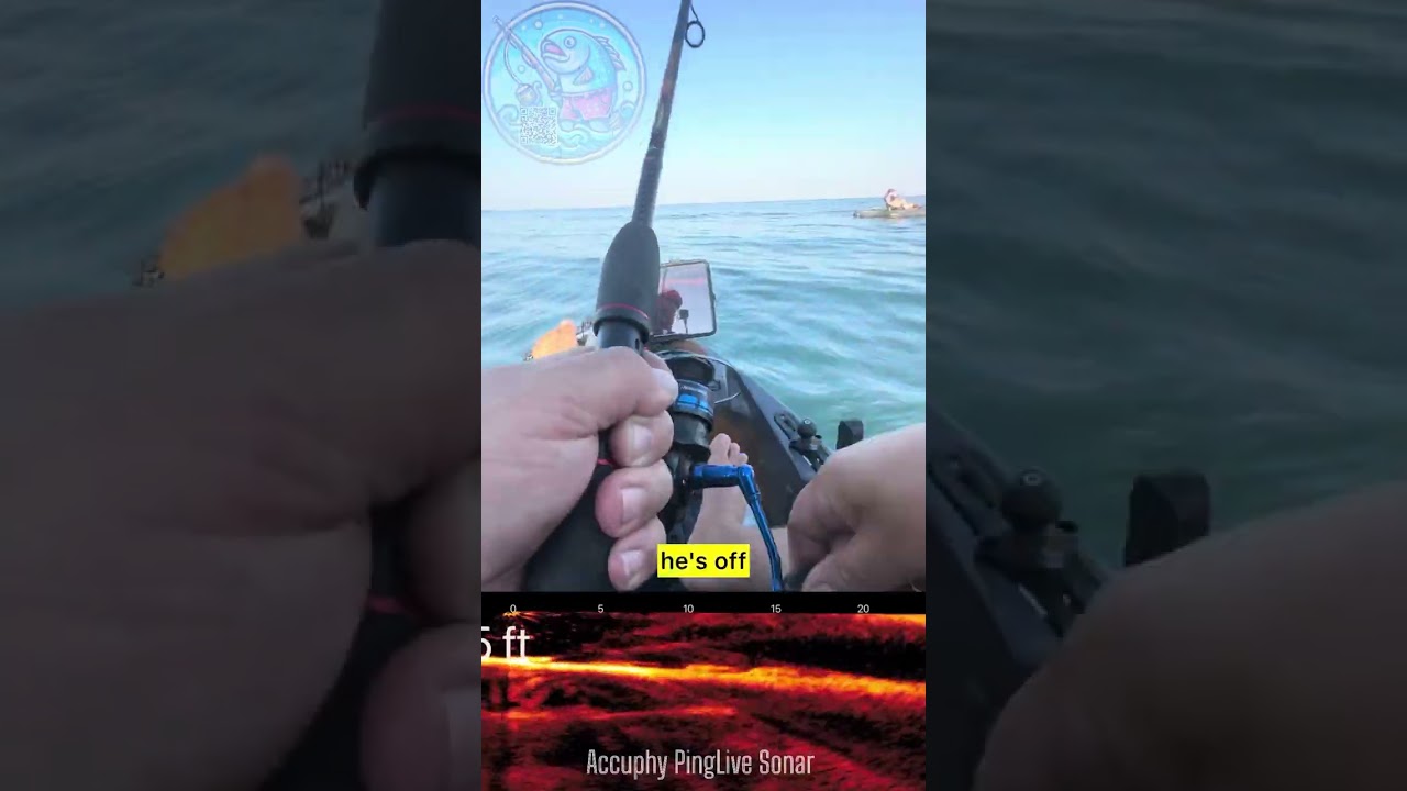 Bass Opener with Accuphy PingLive Sonar #fishinshorts