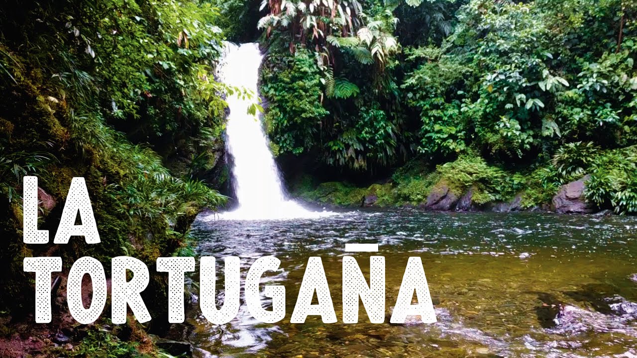 Cascadas La Tortugaña / Hilo De Oro En Agua Clara. Paraíso En La Selva Del Pacífico - Buenaventura