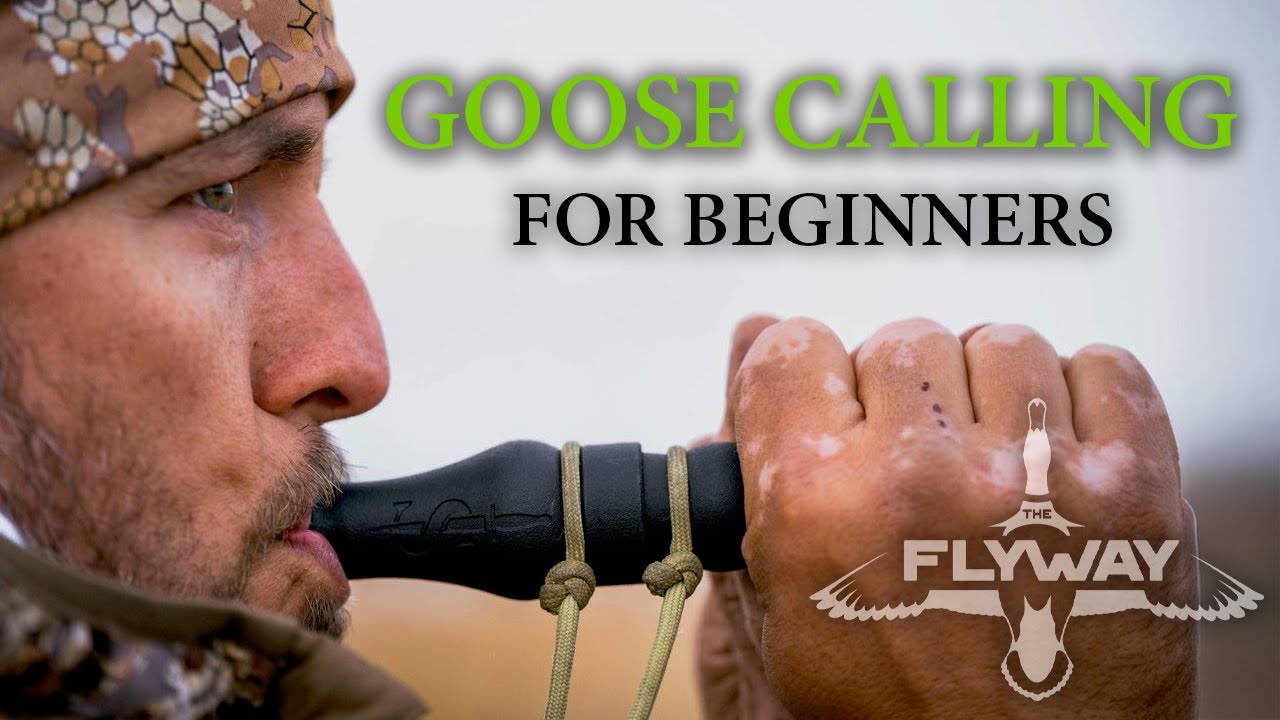 Goose Calling 101 | Learn How to Operate a Short Reed Canada Goose Call