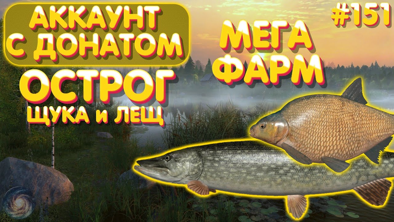 Аккаунт с донатом #151 | Мега ФАРМ с 6 точек | Острог - Щука и Лещ | Русская Рыбалка 4