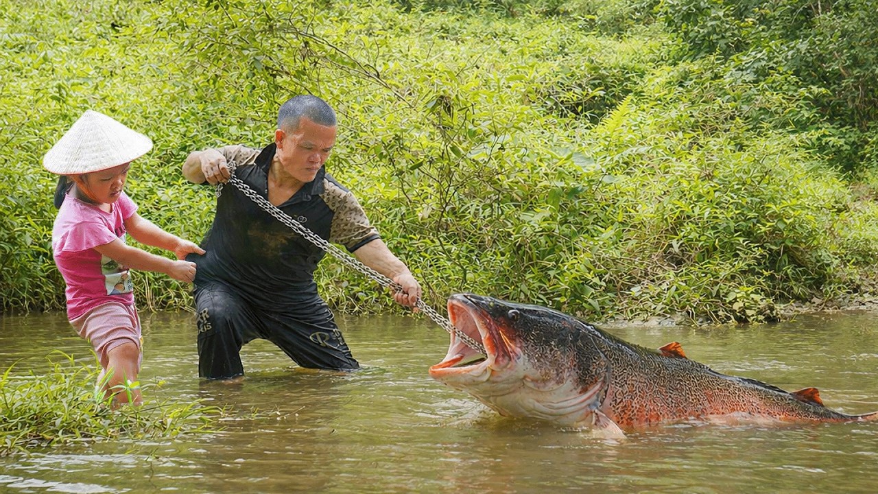 How a Dwarf Family Traps Giant Fish with Iron Chain Trap | Primitive Fishing Life