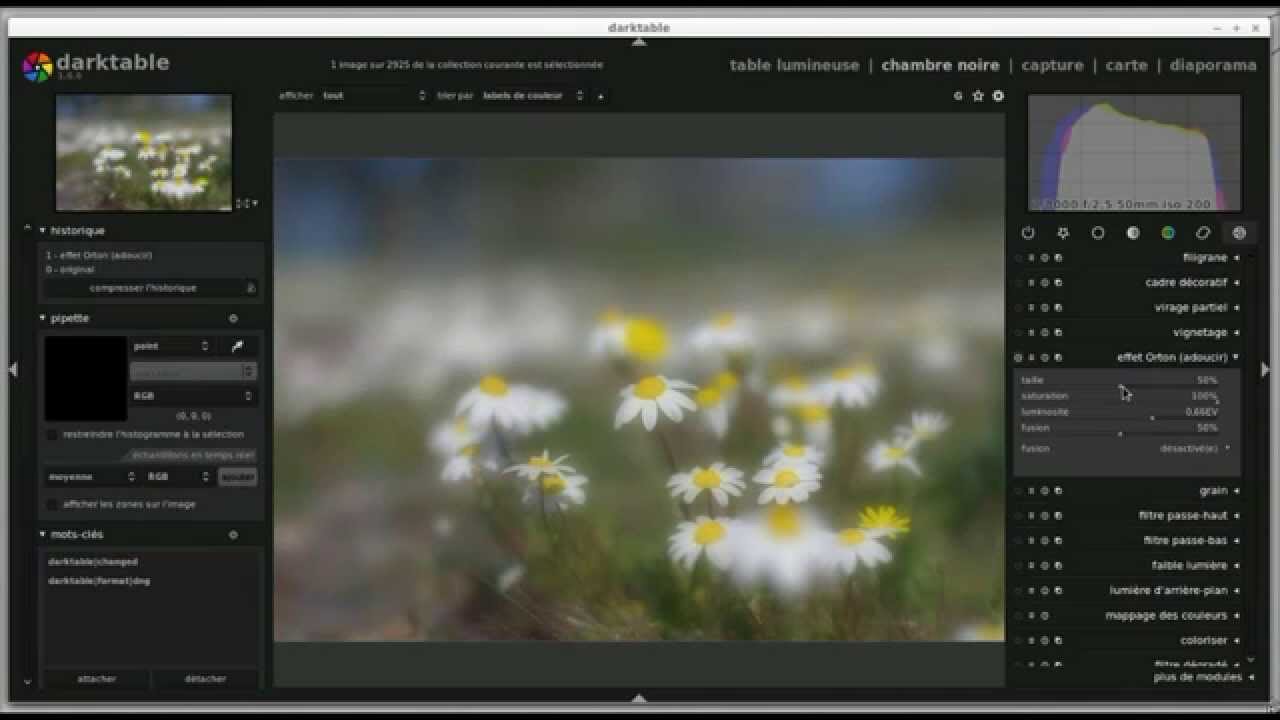 Tuto Darktable N°25: Le module Orton