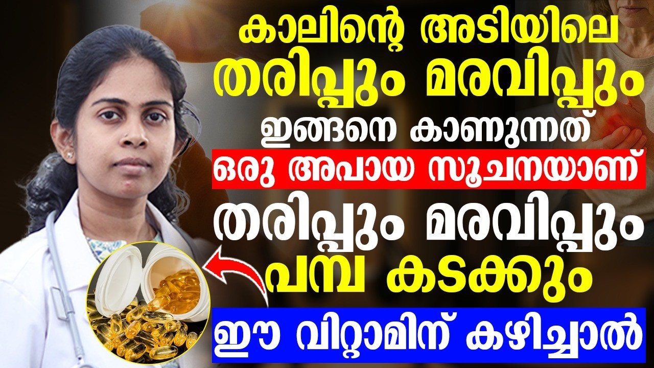 ഇത് കഴിക്കുന്നത് ഞരമ്പിന്റെ ആരോഗ്യം പത്തിരട്ടിയാക്കും | തരിപ്പും മരവിപ്പും മാറും