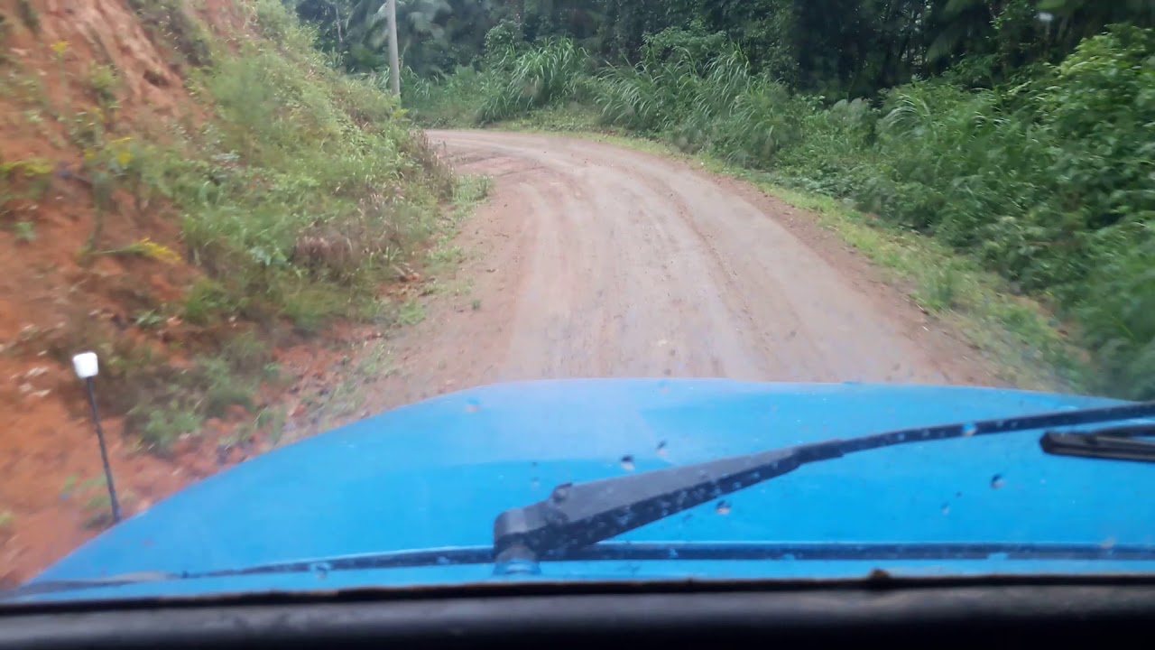 Trabalhos pantera
