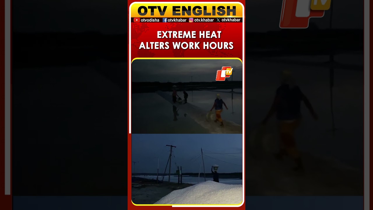 Tamil Nadu: Scorching Heat Pushes Salt Workers To Start Shifts At 1 AM