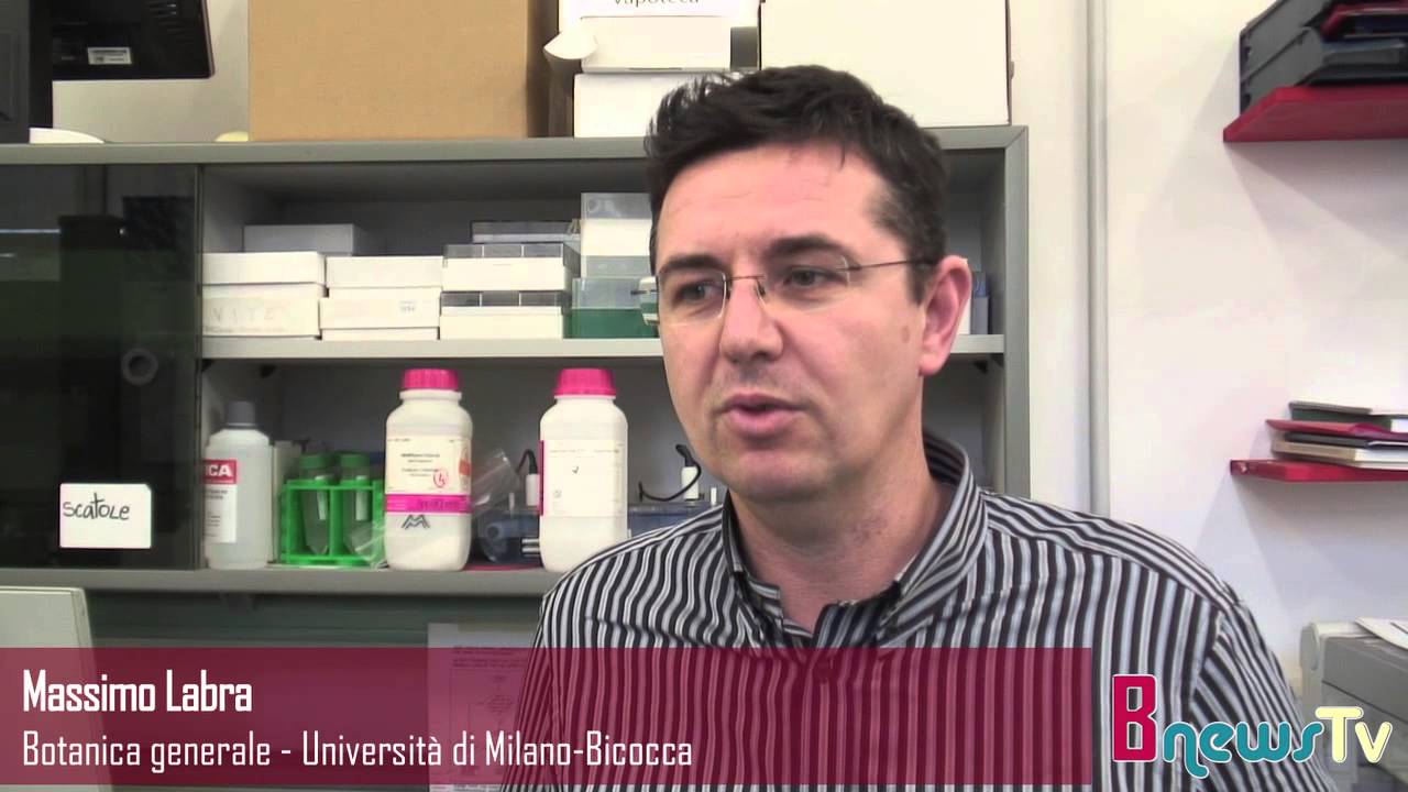 Non solo carne equina. Difendersi dalle frodi alimentari con la tecnologia