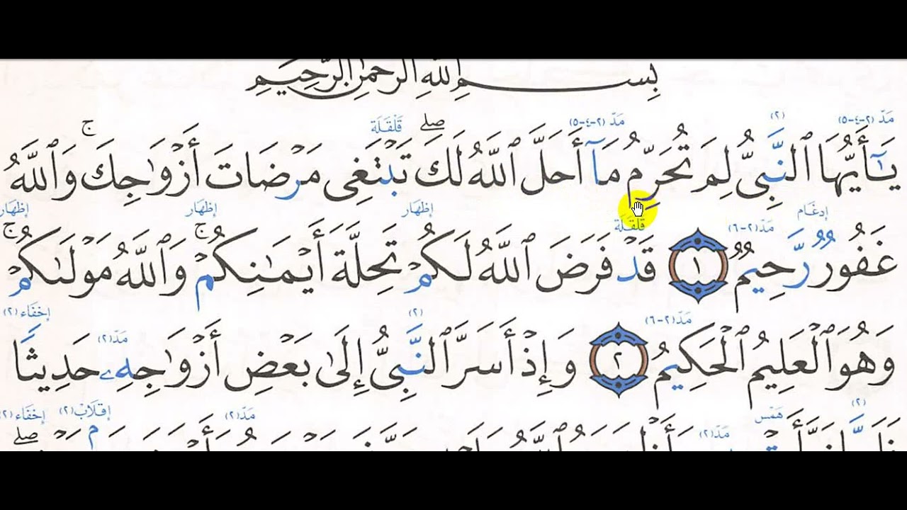 تحفيظ سورة التحريم ( 1 - 5 )