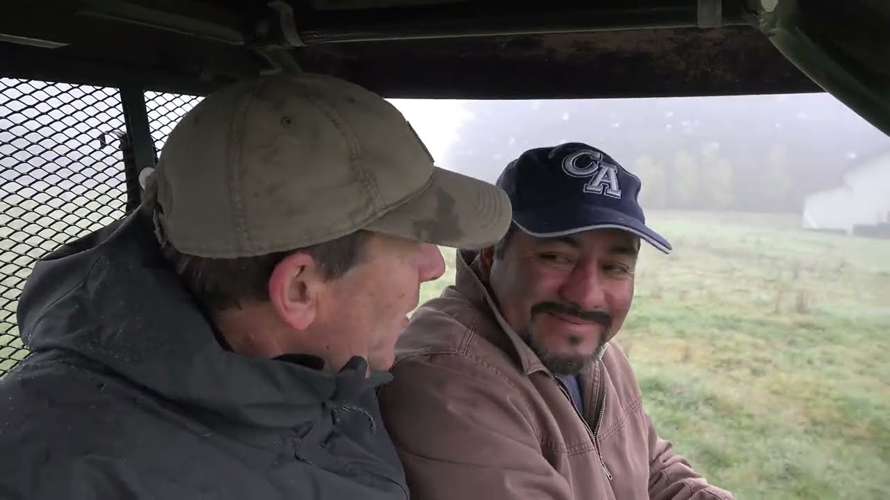 Redwood Trees | 15 Years of Planting for Resilience