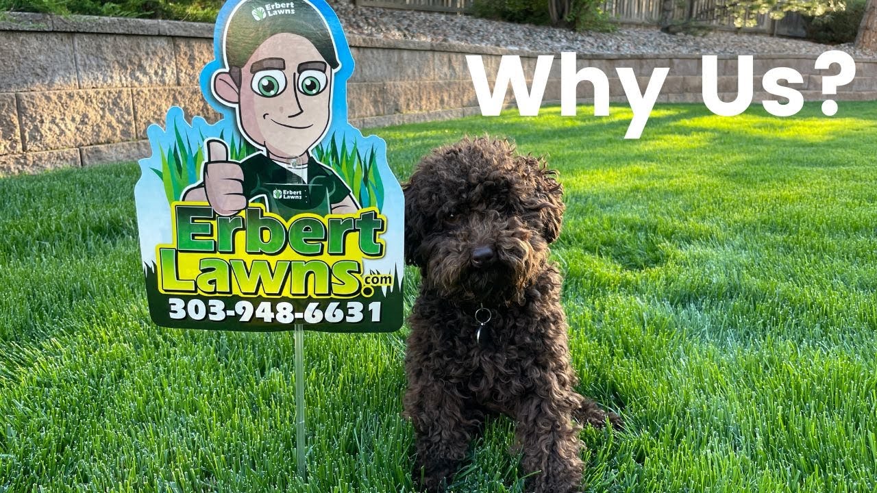 The 3 Things That Make Erbert Lawns Different