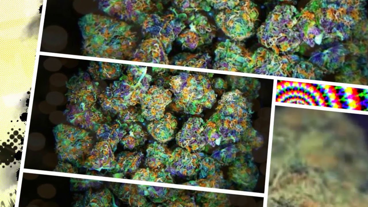 Weed Song #Bestweedintheworld (Prod. O.G Pharaoh)