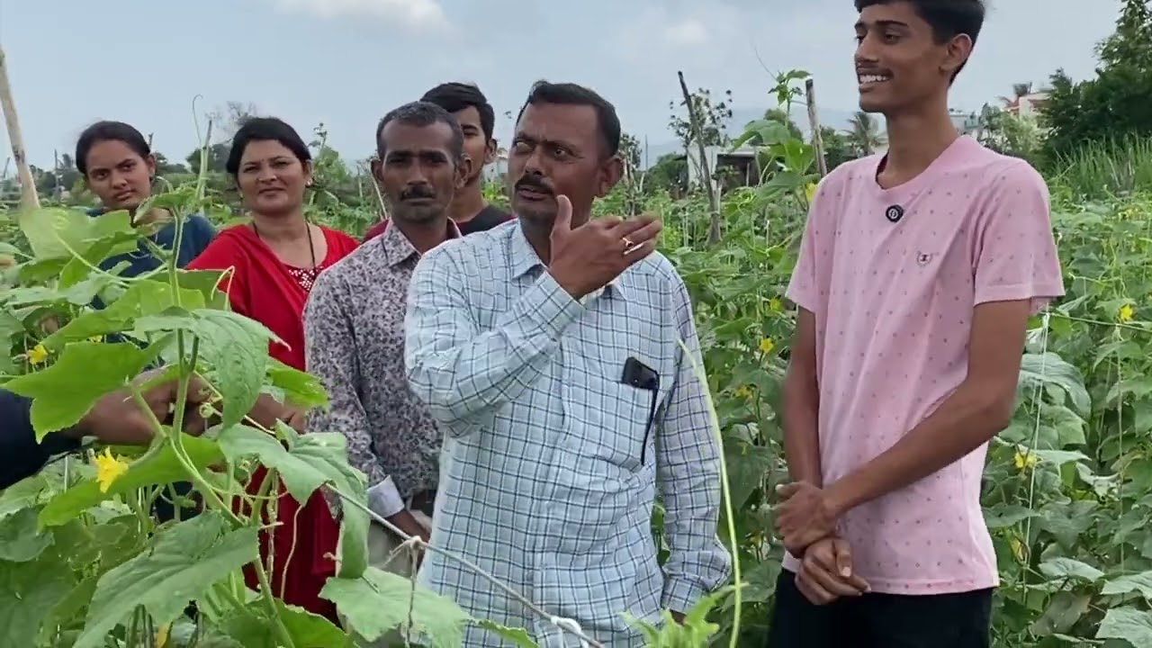SCTवैदीक काकडीचे रिझल्ट पाहून केमिकल व जैविक शेती करनार्या मित्रांचे मत परिवर्तन व शंकानिरसन‼️