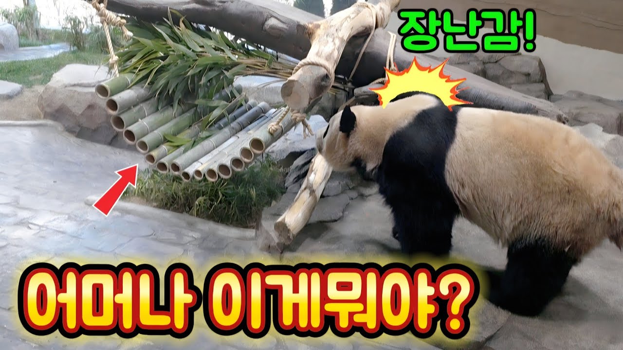 에버랜드 세컨하우스 1월 24일 어머나 감사합니다 할부지 