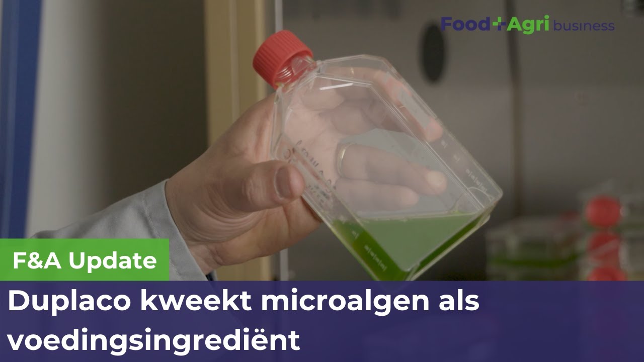 Duplaco kweekt algen als voedingsingredi&euml;nt