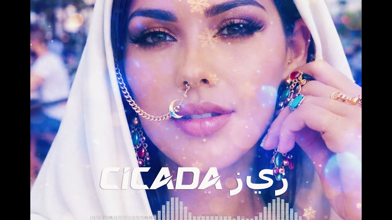 Cicada-قلبٌ واحد  Urdu Song 2026 | Official Lyrical Video song