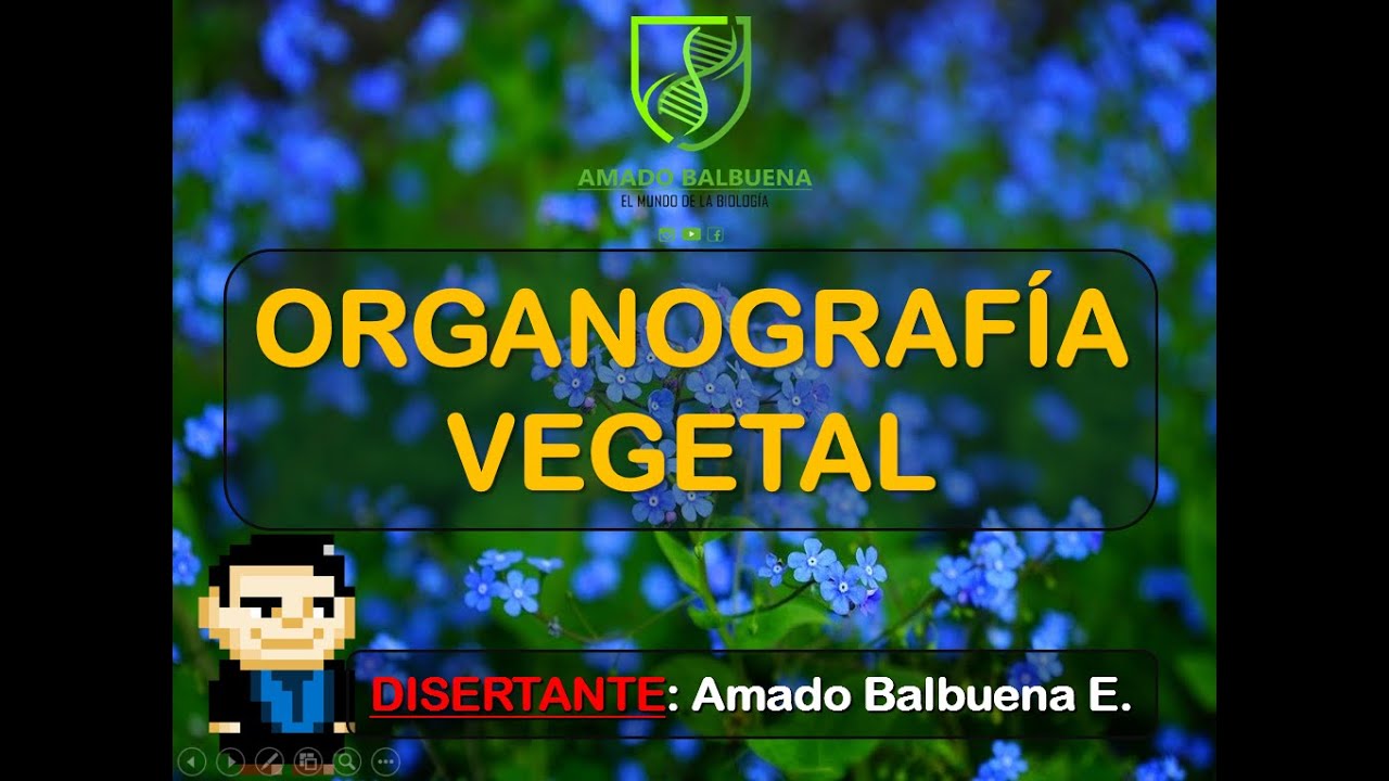 ORGANOGRAFIA VEGETAL - AMADO BALBUENA