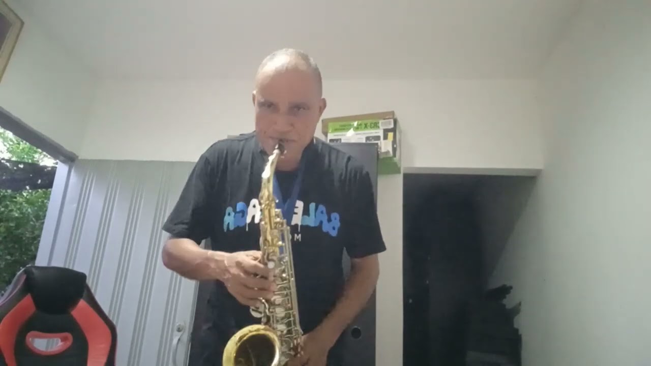 Sax alto cover  El Colesterol ( Fito Olivares)