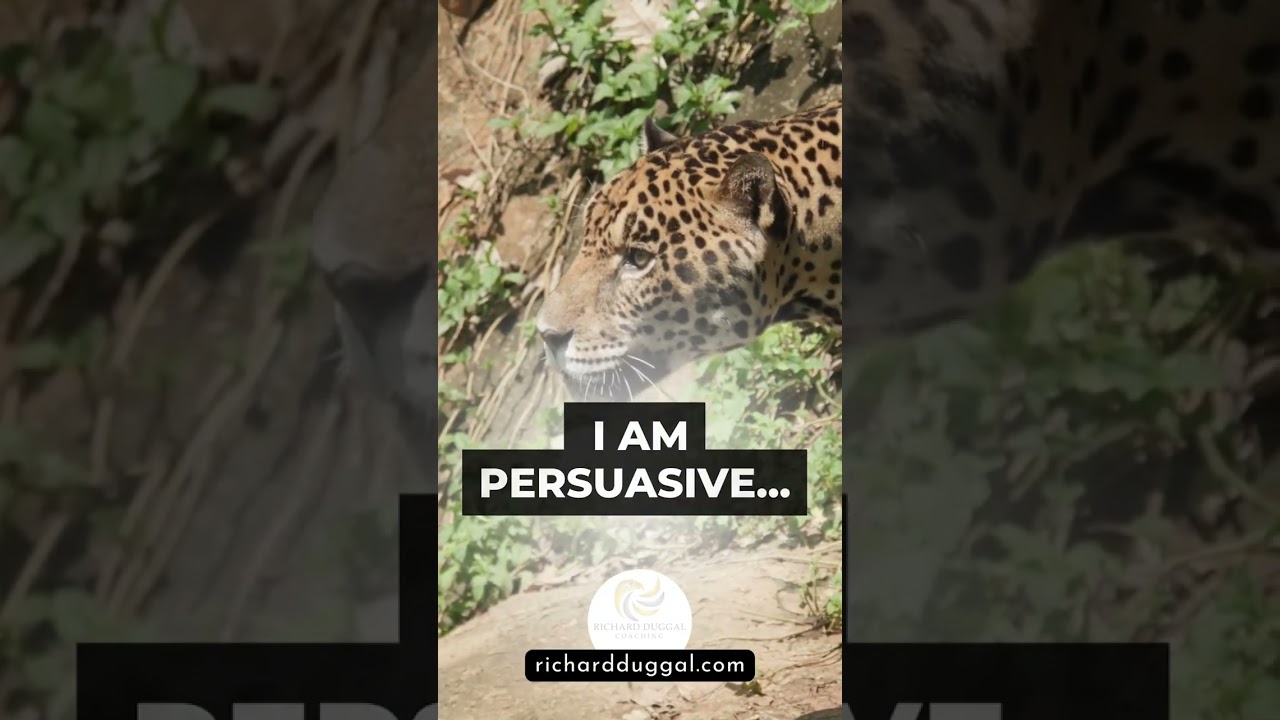 Real Estate Sales Mantra - I am persuasive 