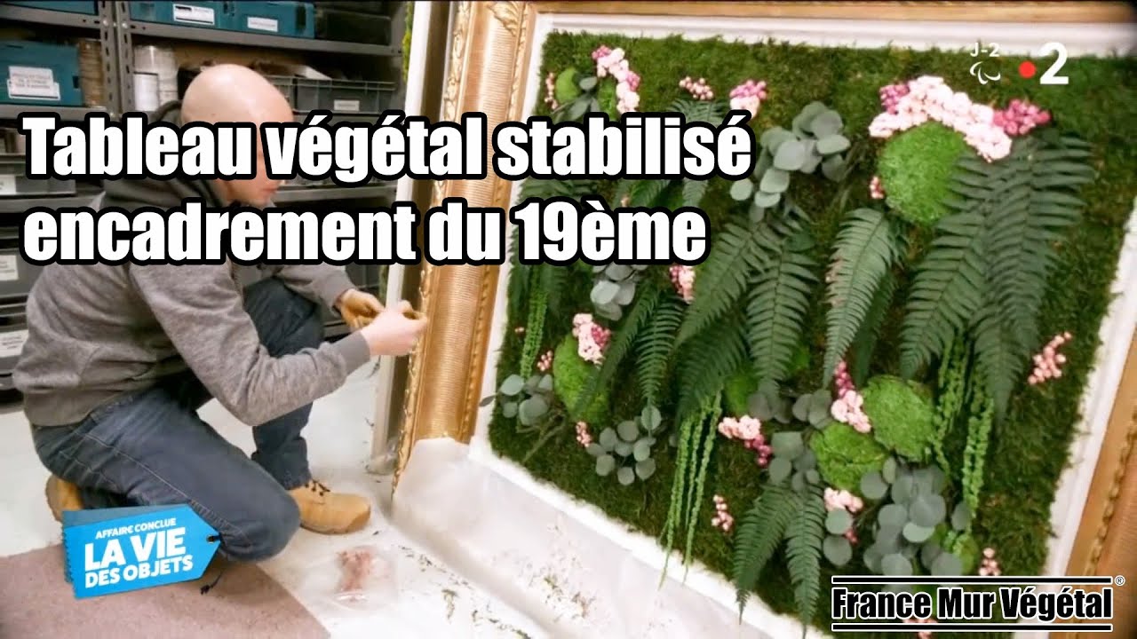 Tableau végétal stabilisé dans l’émission Affaire Conclue La Vie des Objets sur France2