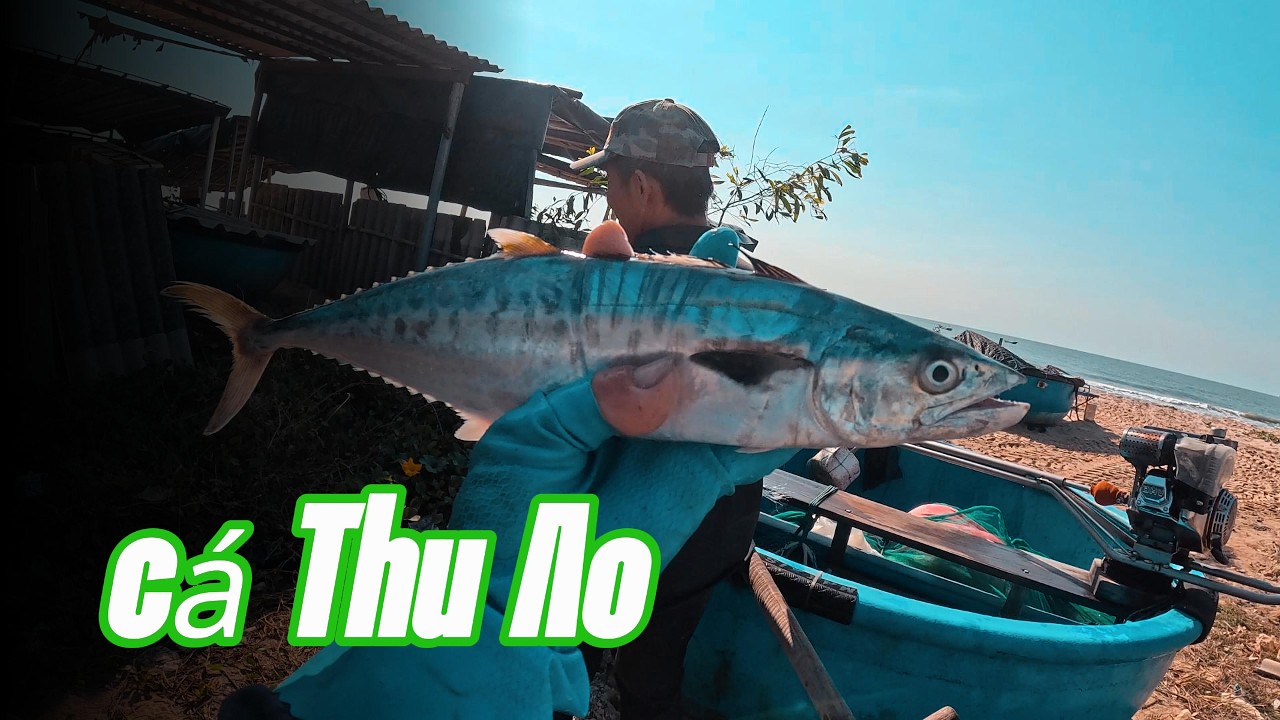 Ngư Dân Ven Biển Đồng Đền//Vương Khơi Đánh Lưới//Vào Những Ngày Cuối Đông//Cá Chét,Thu Ảo,Cá Đù Sóc