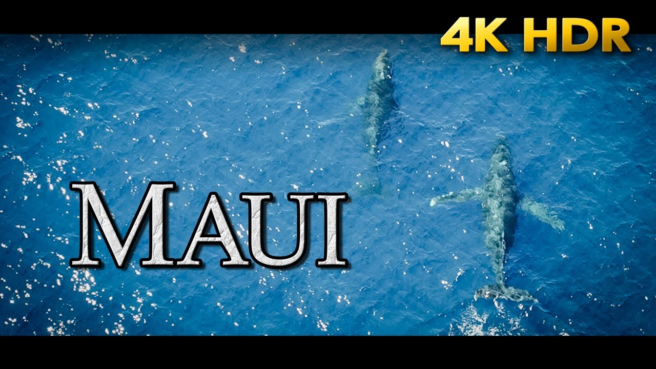 First Time in Maui  [Subtitled] | 4K HDR