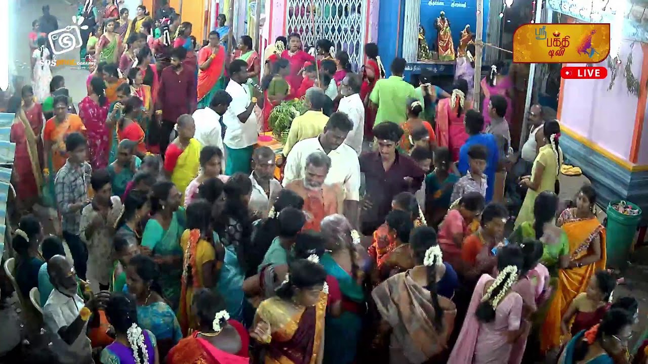 🔴LIVE | கும்மி கொட்டு விழா |  திங்கட்கிழமை2 அருள்மிகு ஸ்ரீ பத்ரகாளியம்மன் கோவில்_பசும்பொன் நகர்-2025