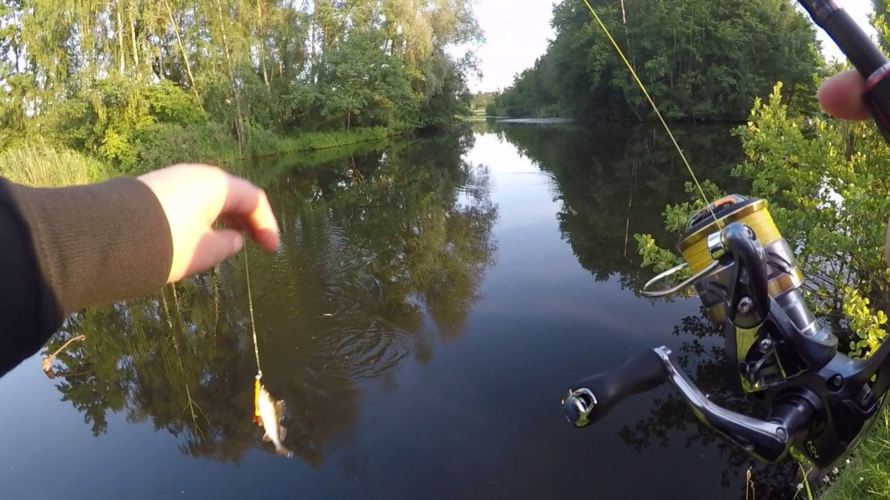 Lieblingsköder Firetiger in 5cm auf Barsch